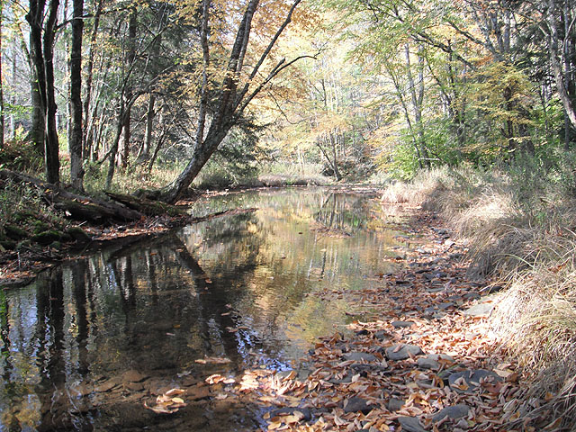 DSCF0287.jpg
