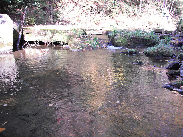 DSCF0296.jpg