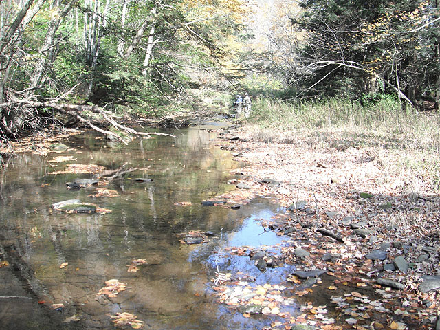 DSCF0298.jpg