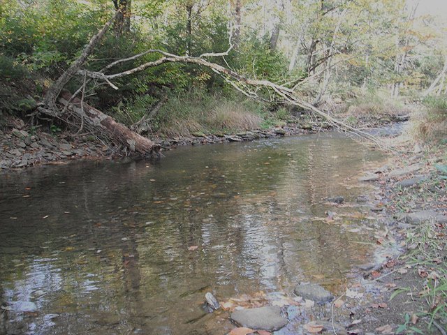 DSCF0301.jpg