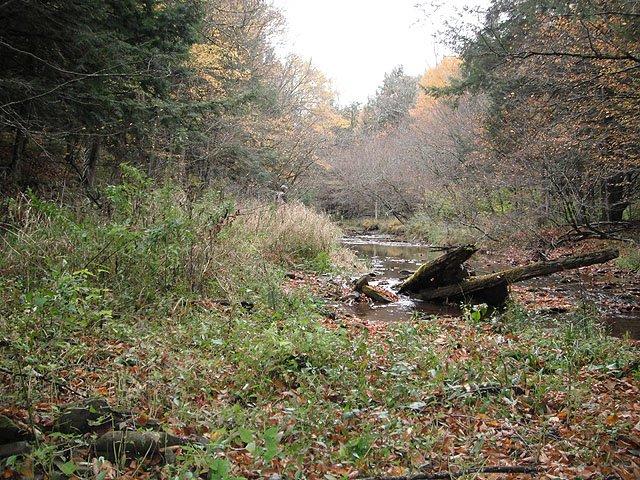 DSCF0314.jpg