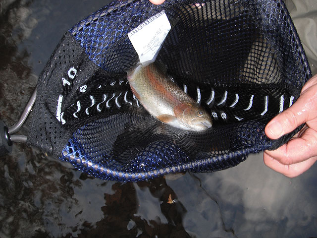 DSCF0323.jpg