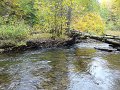 DSC01203