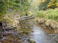DSC01243