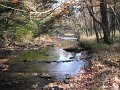 DSCF0285