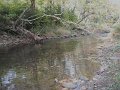 DSCF0301