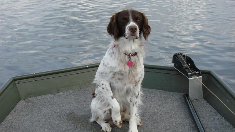 Bye.JPG - He was a boat companion too.