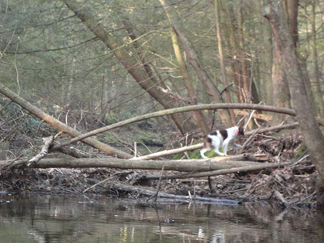 DSC00570.jpg -                                Then back to the bank