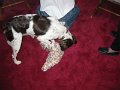 IMG_0002