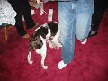 IMG_0003
