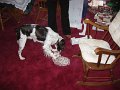 IMG_0004