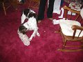 IMG_0005