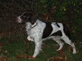 IMG_0032