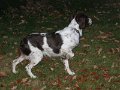 IMG_0033