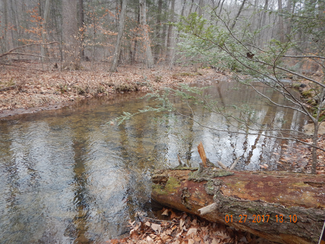 DSCN1839.jpg - I was certain this deep pool would hold fish and it probably does, just none were biting today.                               