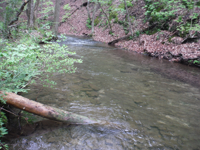 DSCF9281.jpg