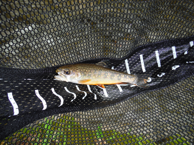 DSCF9286.jpg