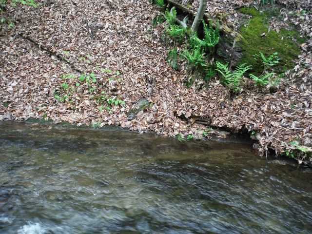 DSCF9287.jpg