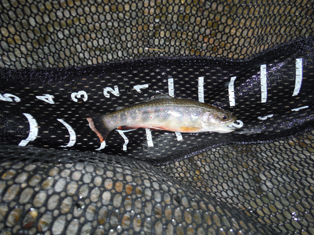DSCF9293.jpg