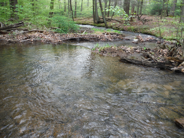 DSCF9294.jpg