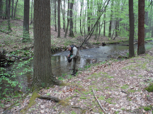 DSCF9298.jpg