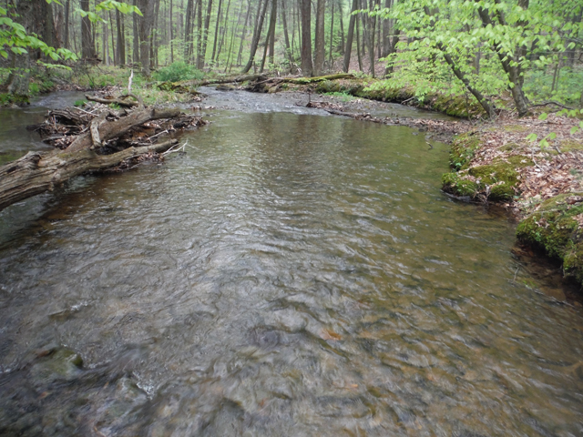DSCF9303.jpg