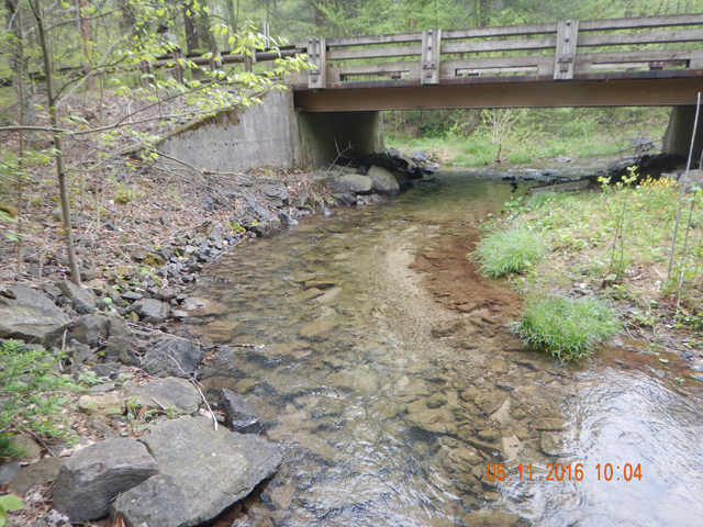 DSCN1196.jpg -                                