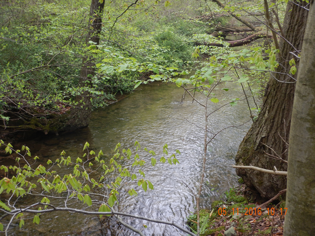 DSCN1200.jpg -                                