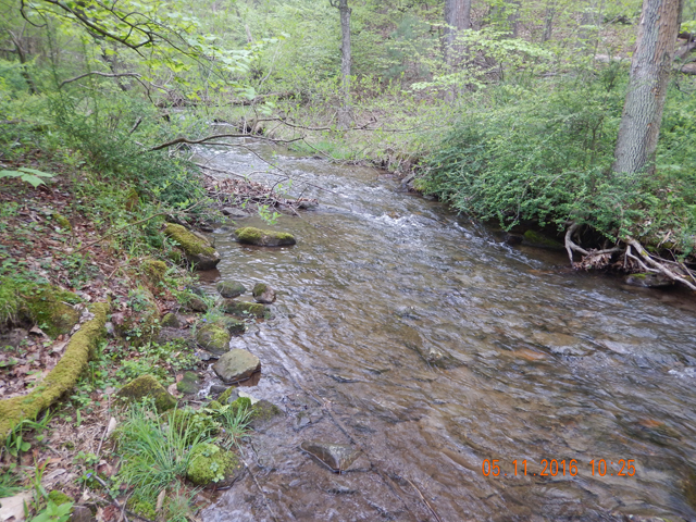 DSCN1203.jpg -                                
