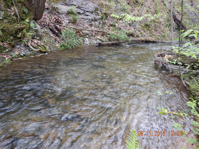 DSCN1212.jpg -                                