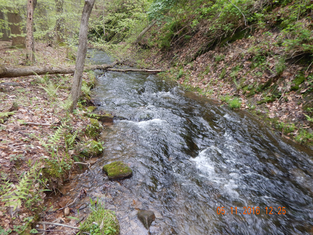 DSCN1213.jpg -                                