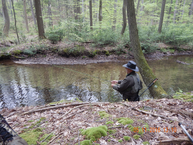 DSCN1217.jpg -                                