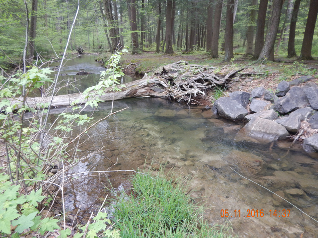 DSCN1228.jpg -                                