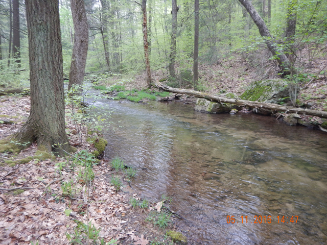 DSCN1230.jpg -                                
