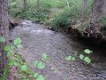 DSCF9272