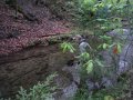DSCF9277