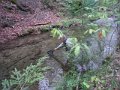 DSCF9278