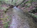 DSCF9290