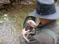 DSCN1198