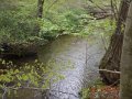 DSCN1200
