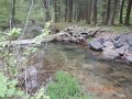 DSCN1228
