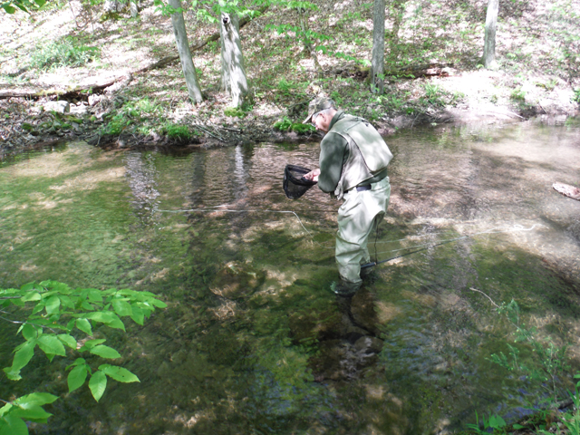 DSCF9321.jpg - All our fish are returned to the stream with as little injury as possible.
