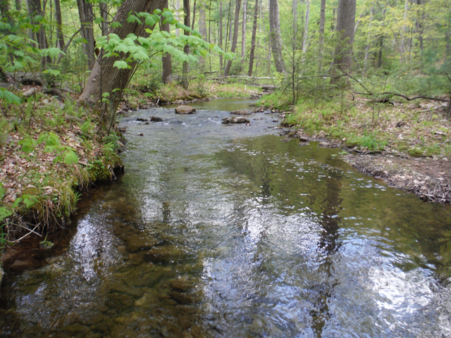 DSCF9342.jpg - Beautiful stream too!