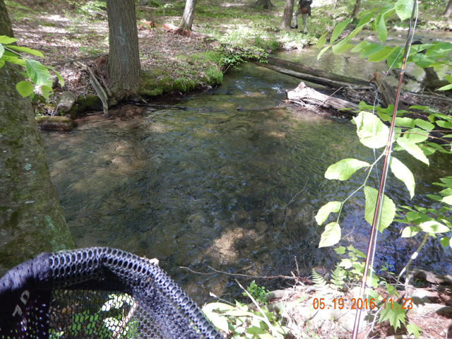 DSCN1267.jpg -                                This stream is tailor made for brook trout.