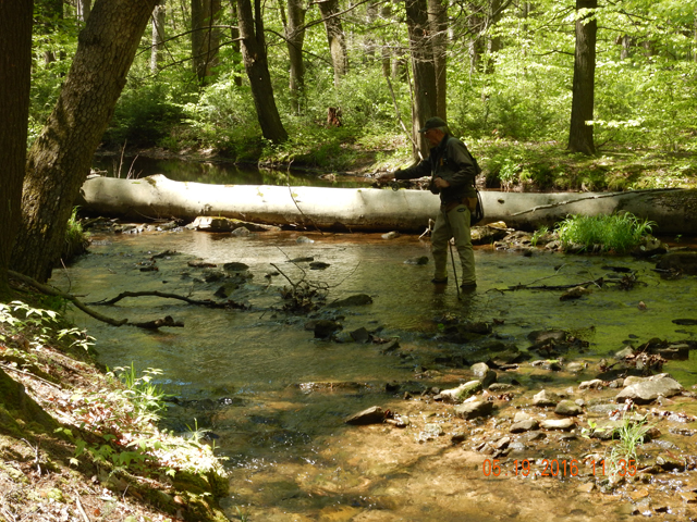 DSCN1271.jpg -                                Here is Ed picking through little runs for hiding fish.