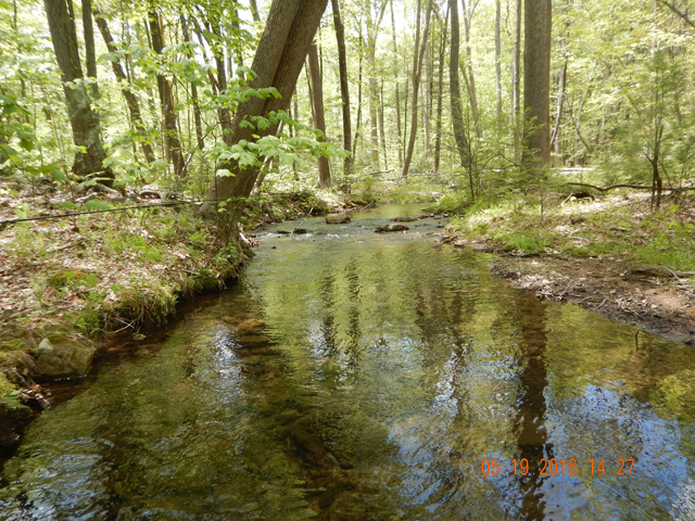 DSCN1289.jpg -                                