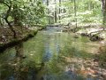 DSCN1263