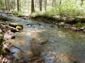 DSCN1273