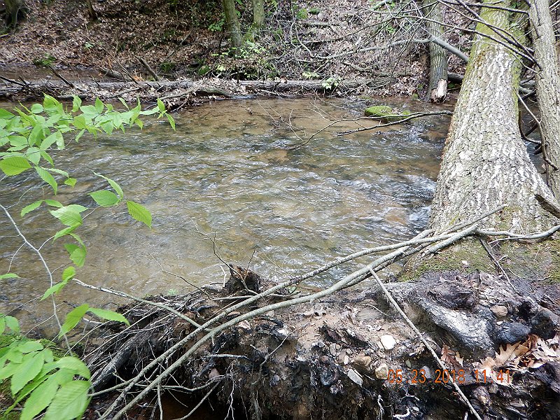 DSCN3222.jpg - Early in the day, the fish were in the deeper holes.  Later in the afternoon we found fish in the shallow riffles as well.