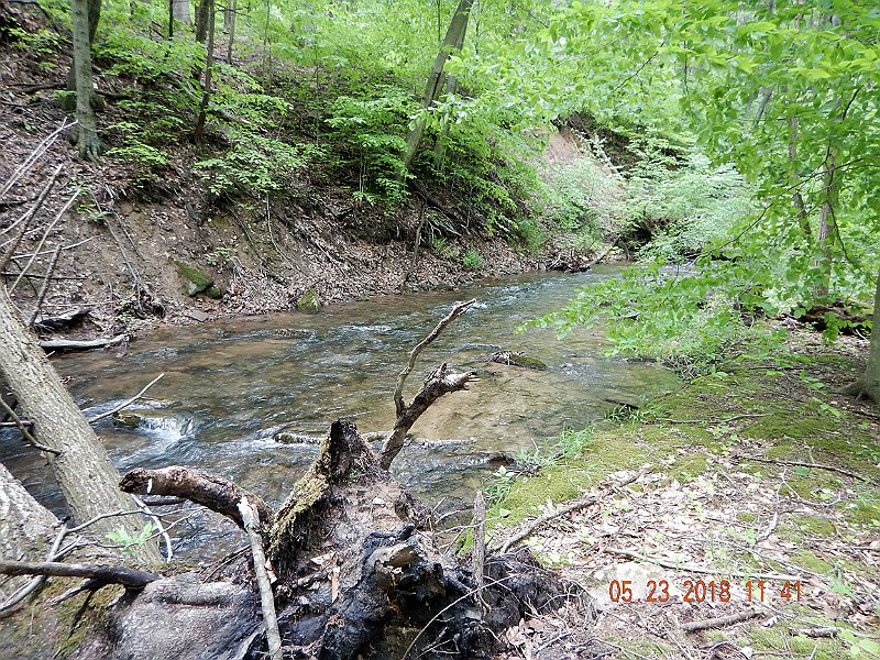 DSCN3223.jpg - This is a pretty stream.  Water levels were pretty much what we normally find here.  Other streams in the area were bank full.